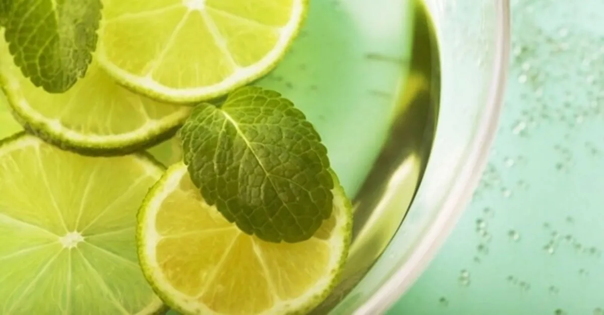 nane limon faydalari nelerdir nane limon neye iyi gelir saglik haberleri