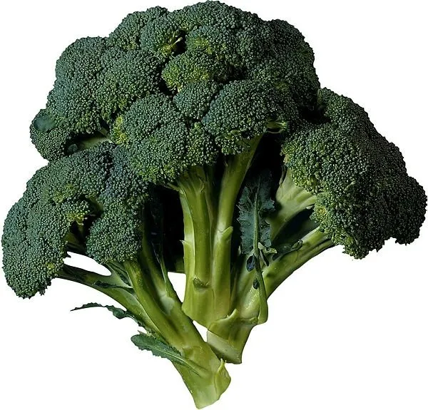Brokoli kanser tedavisinde kullanılabilir