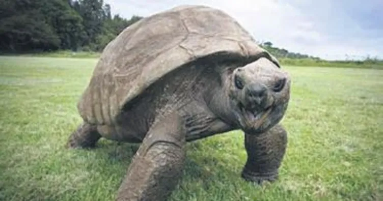 Jonathan 187 yaşında