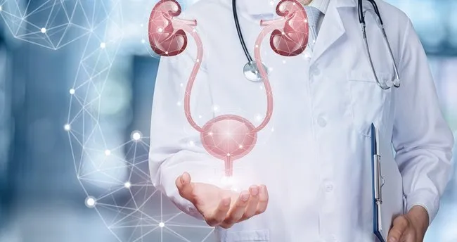 uroloji nedir neye bakar uroloji doktoru hangi hastaliklara bakar saglik haberleri