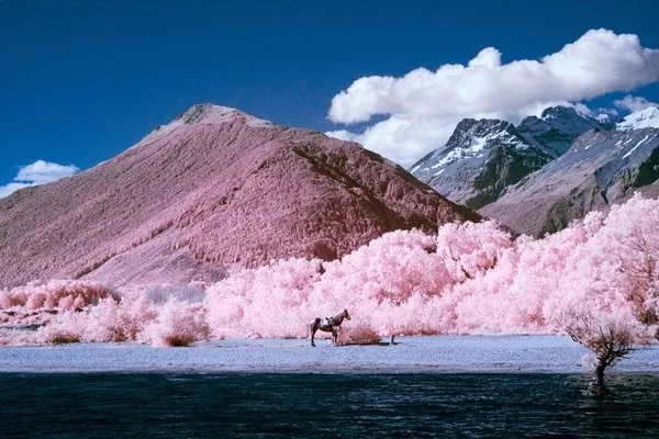 Fotoğrafçı Paul Hoi'den muhteşem kızılötesi fotoğraflar