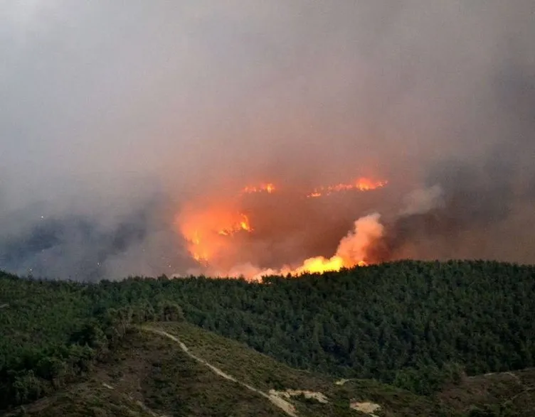 Türkiye-Suriye sınırında yangın