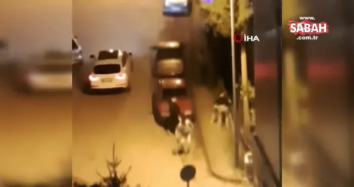 Safranbolu’da tekme tokat kavga anı kamerada | Video