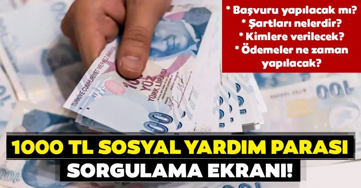 Son Dakika Haberler 1000 Tl Sosyal Yardim Parasi E Devlet Sorgulama Ekrani 1000 Tl Yardim Nakit Yardimi Parasi Kimlere Ne Zaman Verilecek Ve Sartlari Neler Son Dakika Haberler