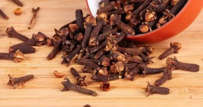 Karanfil çayı faydaları nelerdir ve nasıl yapılır? Karanfil çayı faydaları nelerdir ve nasıl yapılır?