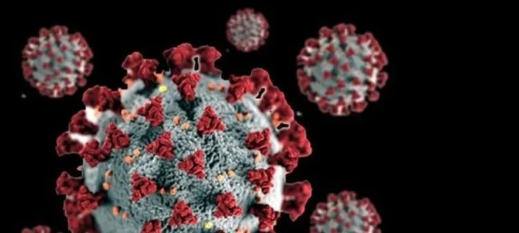 Son Dakika Haberler: Güney Afrika’daki mutasyon virüs Covid-19 aşısını etkileyebilir! Endişe büyük: Açıklamalar peş peşe geldi