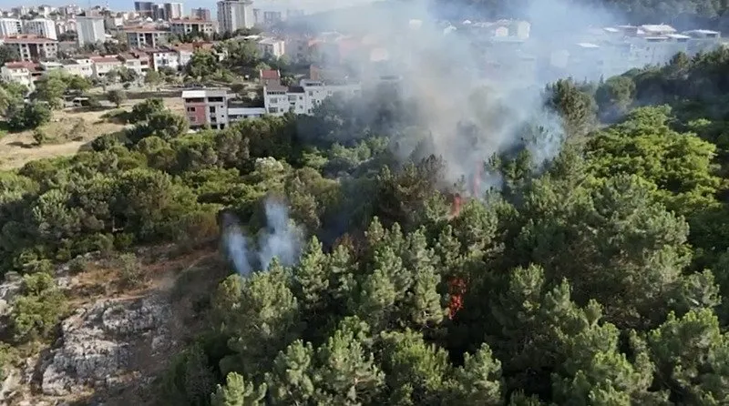 Pendik'te ormanlık alanda çıkan yangın söndürüldü Pendik'te ormanlık alanda çıkan yangın söndürüldü