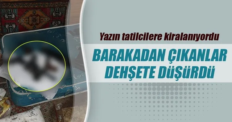 Marmara Ereğlisi’nde bir barakada çok sayıda silah ele geçirildi