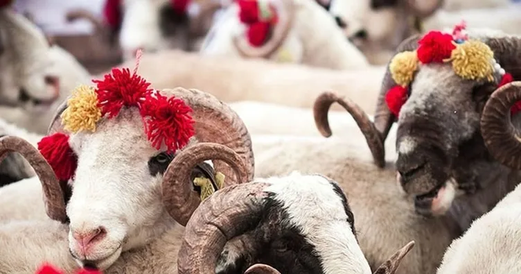 KURBAN BAYRAMI NE ZAMAN 2023? Diyanet dini günler takvimi ile bu yıl Kurban Bayramı ayın kaçında başlıyor, hangi gün?