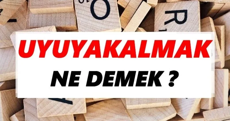 erotik türkçe video