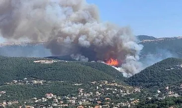 Lübnan’da orman yangını: Yayılarak devam ediyor