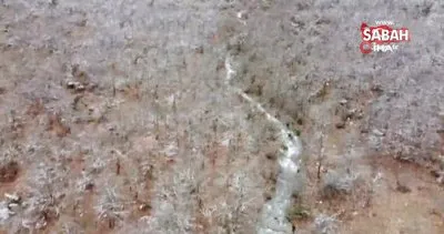 Toros Dağları’nda yağışlar sonrası akan sular görsel şölen oluşturdu | Video