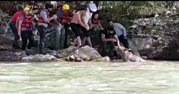 Zap Suyu’nda sürüklenen ayıyı rafting ekibi kurtardı!