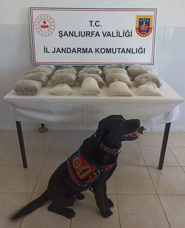 sanliurfada-fistik-tarlasinda-3-milyonluk-uyusturucu-operasyonu-1658847739743.jpeg
