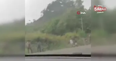 Meksika’da otobüs kazası: 9 ölü, 28 yaralı | Video