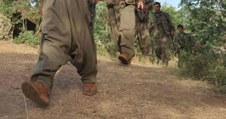Terör örgütü PKK’da çözülme sürüyor! PKK’lı 2 terörist daha teslim oldu!