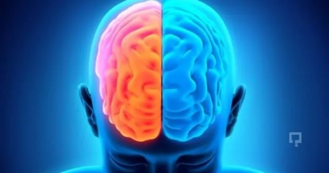 Sol ve Sağ beyin birlikte çalışırsa ne olur?