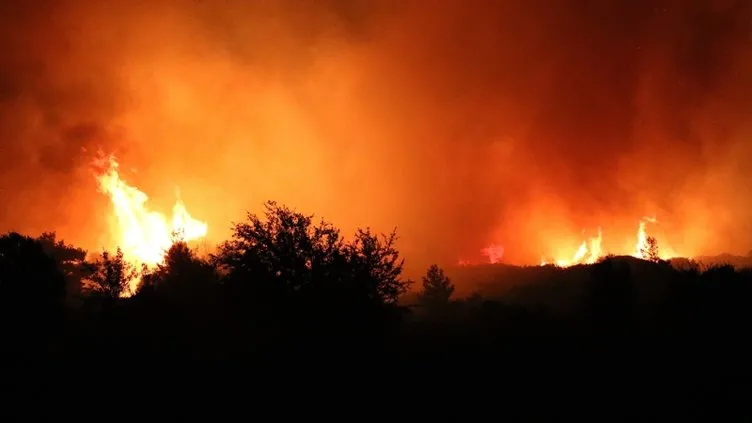 Gelibolu’daki orman yangını 15,5 saat sonra kontrol altında