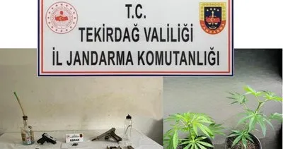 Jandarmadan silah ve uyuşturucu baskını! #tekirdag