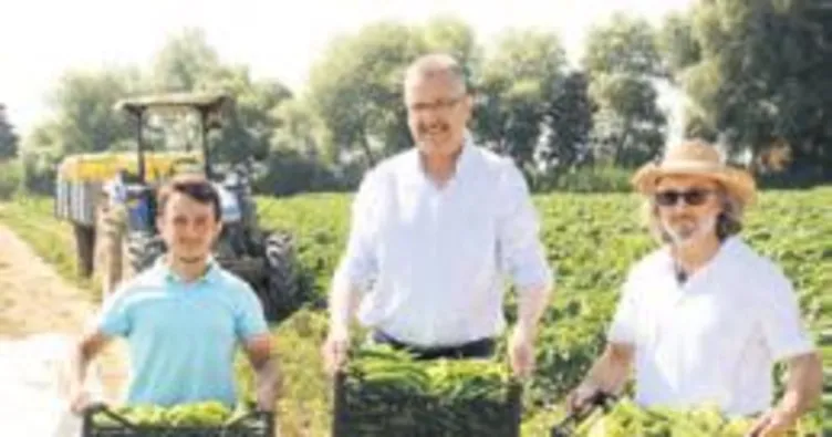 Karacabey bu yıl biberden umutlu