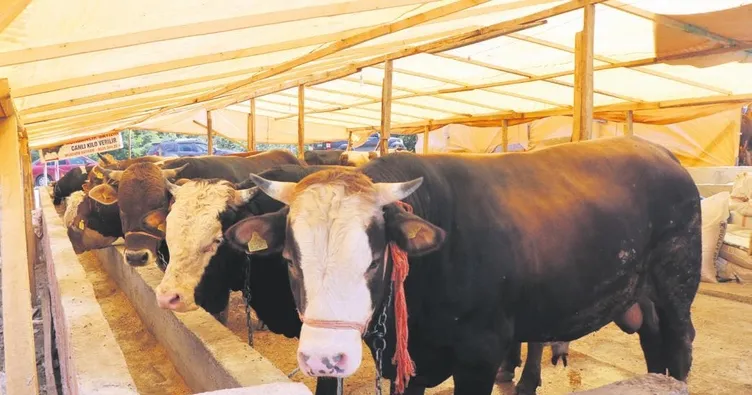 Kurban kesiminde korona tedbirleri