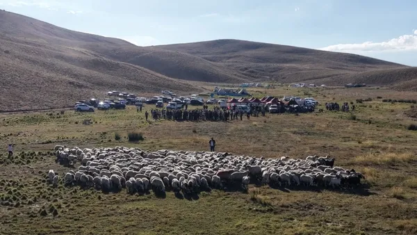 tunceli-yaylalarinda-koc-katim-senligi-1788441307366.jpg
