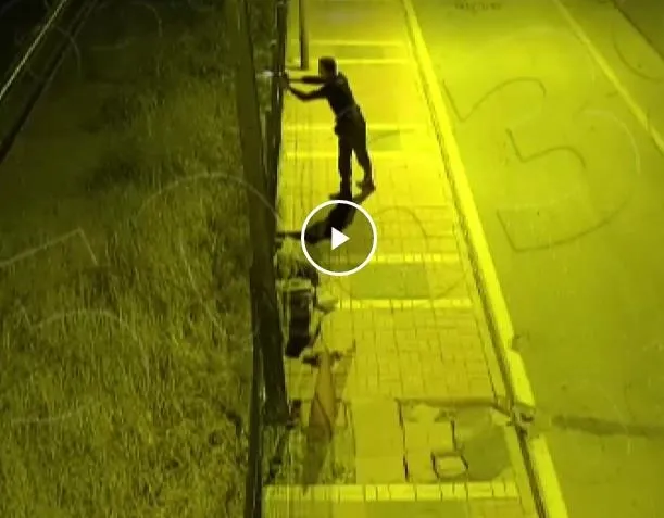 SON DAKİKA | Mersin'deki hain saldırıdan yeni görüntüler! İşte teröristlerle çatışan bekçinin o anları