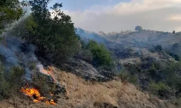 Şarköy’ün otantik köyü yangında tehlike atlattı #tekirdag
