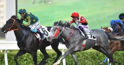 99. Gazi Koşusu birincisi açıklandı! 2025 Gazi Koşusu’nu kim kazandı, zirvede hangi safkan ve jokey vardı?