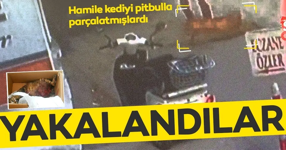 Pitbull cinsi köpeğe �Çıtır�ı parçalatan üç çocuk yakalandı Son