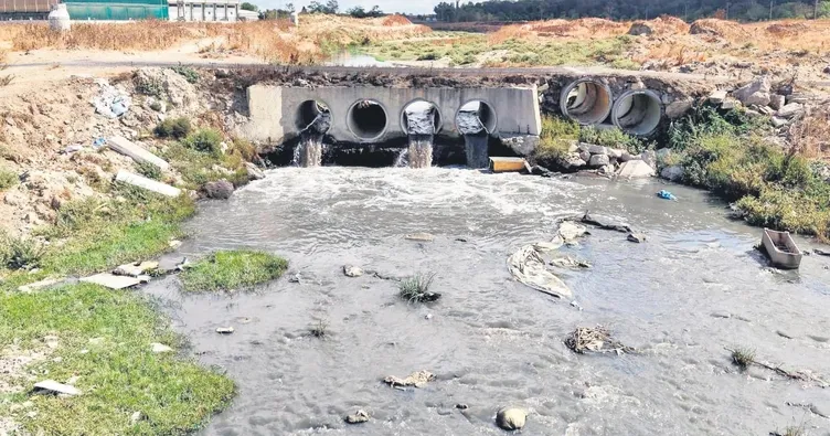 Çevre katliamına suçüstü