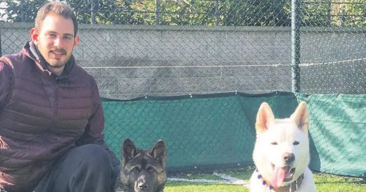‘Köpekler kavga etti, benim suçum yok’
