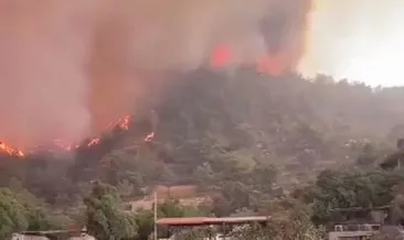 Marmaris’te alevler Çiftlik Koyu’nu sardı