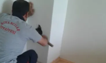 Bacada mahsur kalan baykuş kurtarıldı