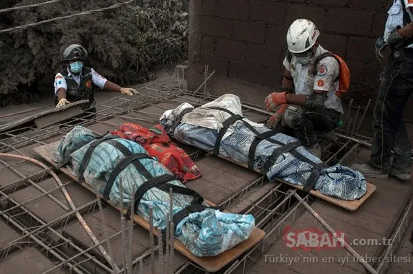 Korkunç görüntüler ortaya çıktı
