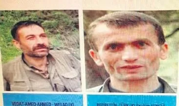 Amanoslar’da PKK’ya ağır darbe