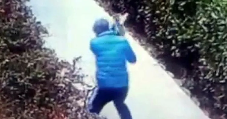 Kediye eziyetten gözaltına alındı