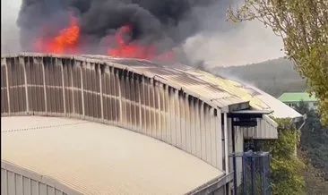 İstanbul Arnavutköy’de fabrika yangını!