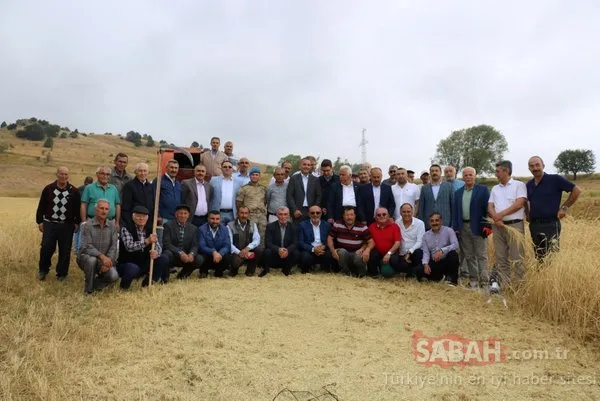 2 bin yıllık ata tohumu! O ilimizde hasat gerçekleşti...
