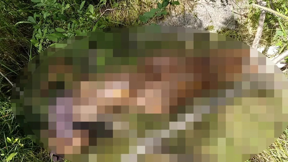 Bayrampaşa’da metronun yanında dehşet! Çıplak kadın cesedi...