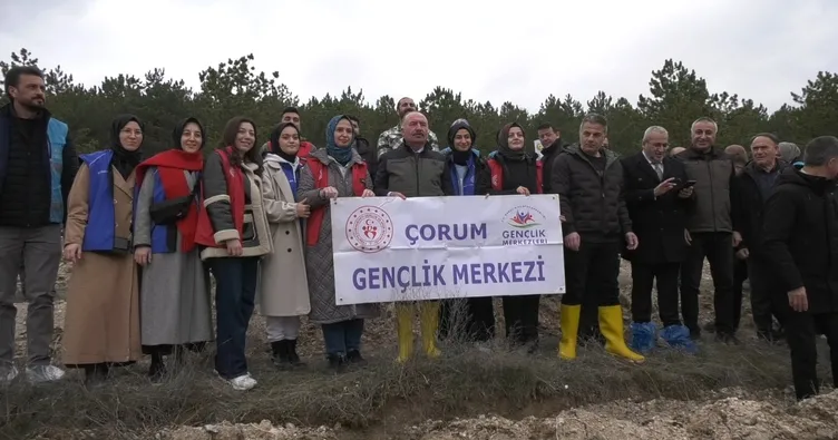 Çorum’da 2 bin fidan toprakla buluştu