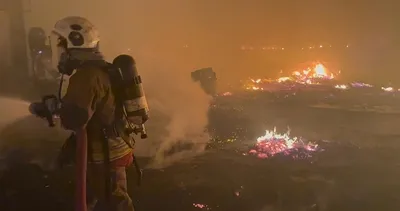 Sünger deposu alevlere teslim oldu