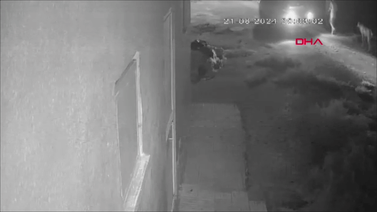 Narin Güran cinayetinde yeni görüntüler ortaya çıktı: Bulamayınca kendini yere fırlattı!