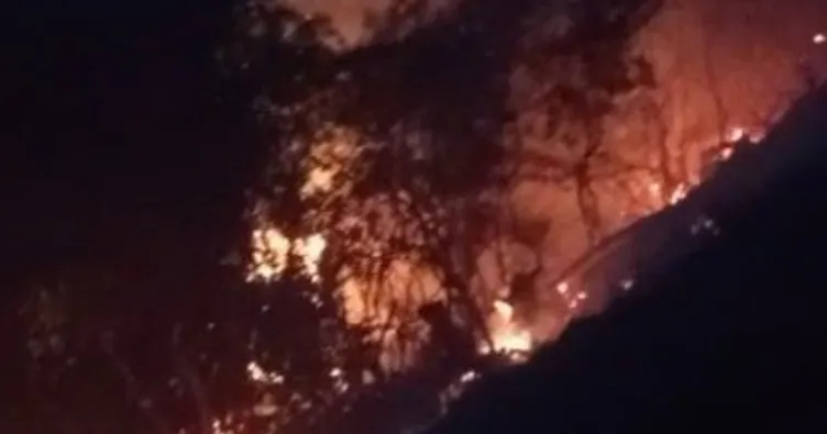 Yaz gelmeden orman yangınları başladı