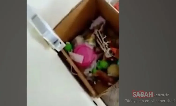Küçük çocuğun oyuncak kutusundan çıktı! Dünyanın en zehirli ikinci yılanının saldırı anı kan dondurdu
