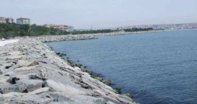 4 Aydir Her Gun Avcilar Sahiline Gelip Yarim Saat Yuzuyor En Son Haber