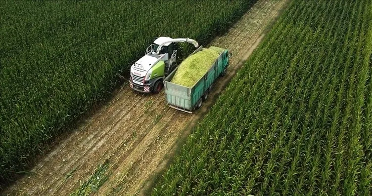Mart ayı tarım üretici fiyatları belli oldu