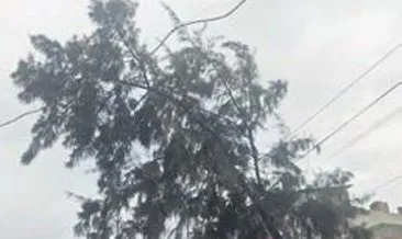 Melih ABİ: Budama yapılmayan ağaç fırtınada telleri kopardı