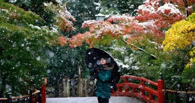 Tokyo’ya 54 yıl sonra ilk Kasım karı yağdı