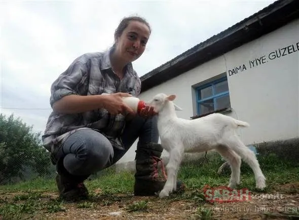 ’Nişantaşı kızı’ köyde keçi güdüyor